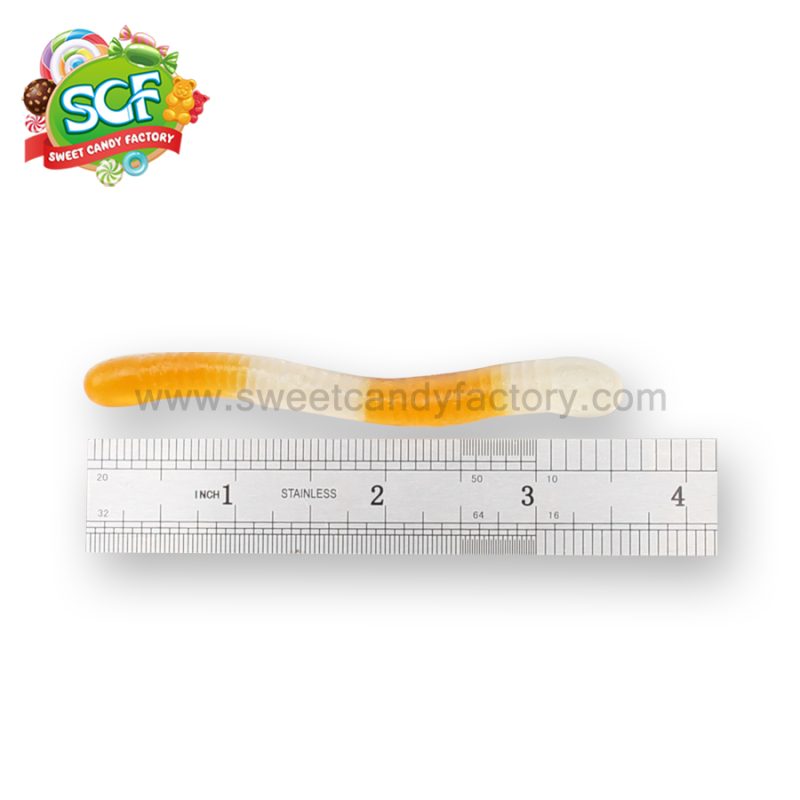 Fruit flavors chewing sugar free gummy worms wholesales by China candy factory - Image 4