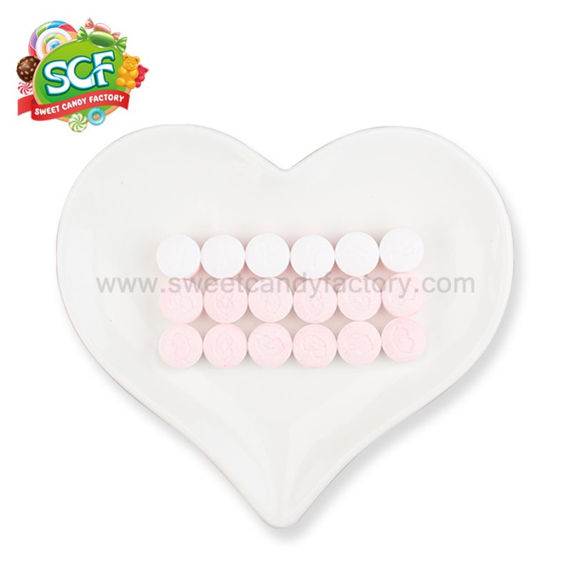Factory wholesale fruit flavor mints press candy with customized logo
