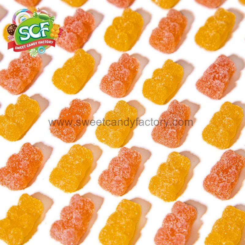 Coated sugar bear shaped gummy for wholesale - Image 4